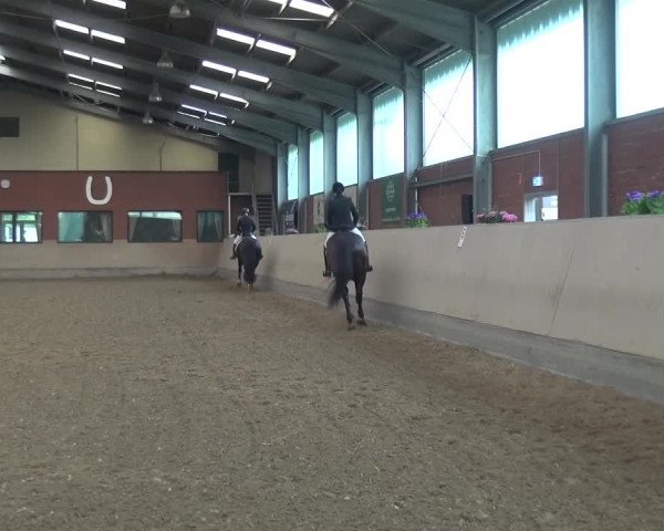 Sommerturnier Neuss-Allerheiligen 2016