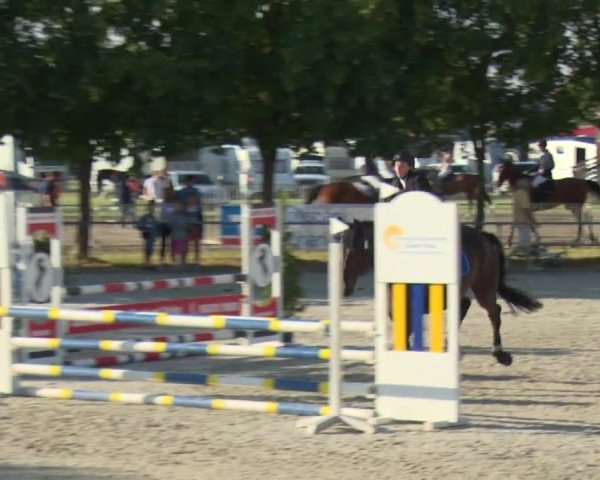 Reitturnier Rot am See-Musdorf 2016