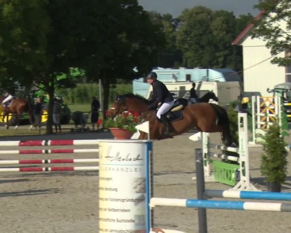 Reitturnier Rot am See-Musdorf 2016