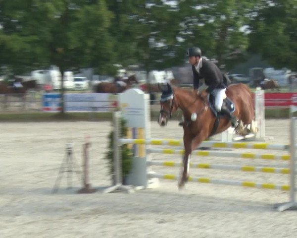 Reitturnier Rot am See-Musdorf 2016