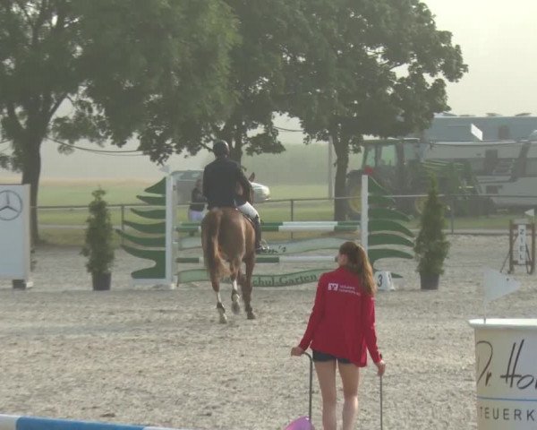 Reitturnier Rot am See-Musdorf 2016