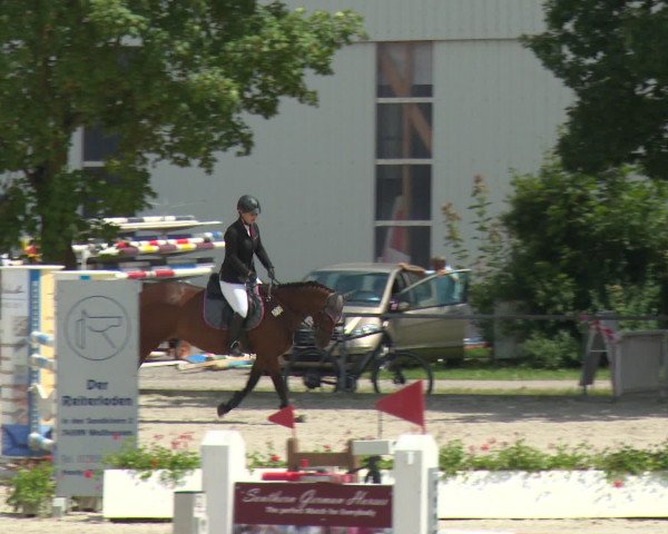 Reitturnier Rot am See-Musdorf 2016