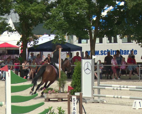 Reitturnier Rot am See-Musdorf 2016