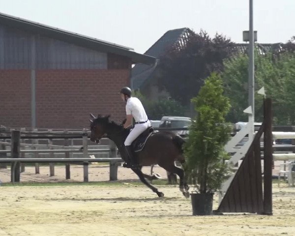 Sommerturnier Neuss-Allerheiligen 2016