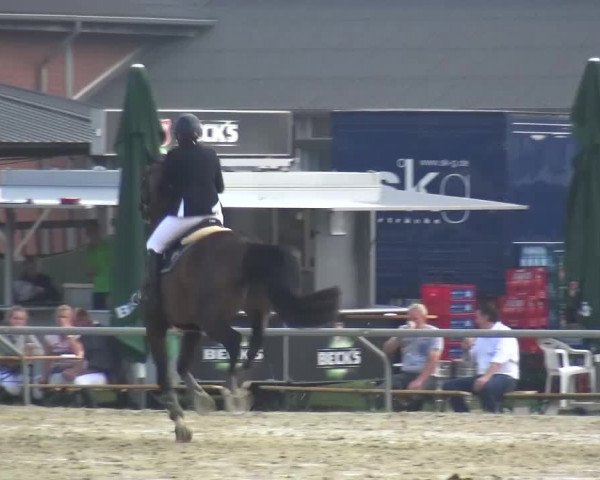 Sommerturnier Neuss-Allerheiligen 2016