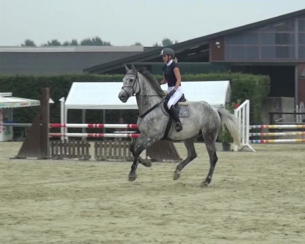 Sommerturnier Neuss-Allerheiligen 2016