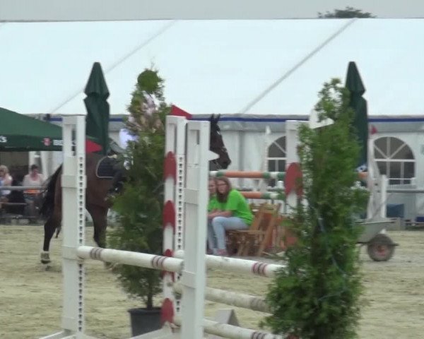 Sommerturnier Neuss-Allerheiligen 2016