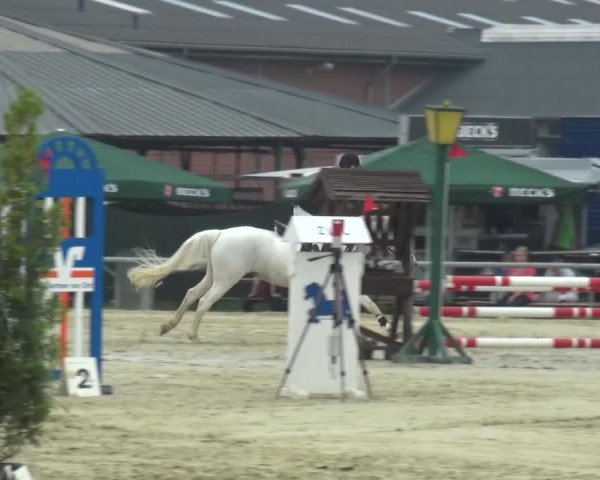 Sommerturnier Neuss-Allerheiligen 2016