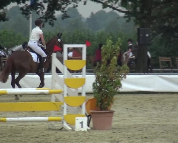 Sommerturnier Neuss-Allerheiligen 2016