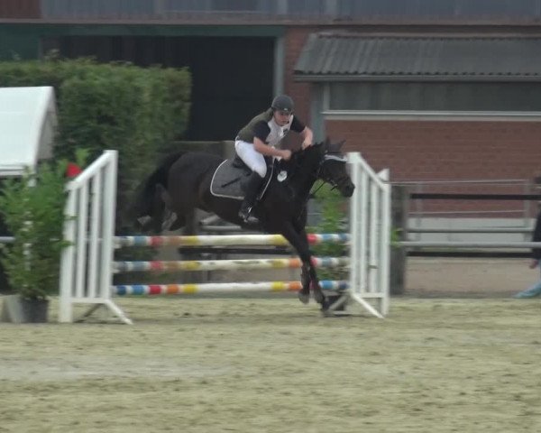 Sommerturnier Neuss-Allerheiligen 2016