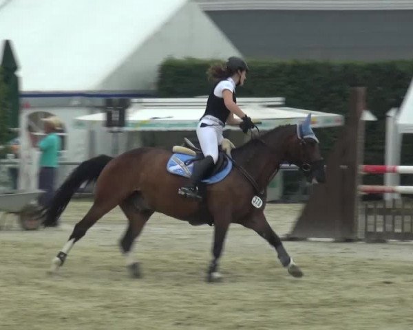 Sommerturnier Neuss-Allerheiligen 2016