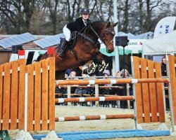 Springpferd Celine 244 (Hannoveraner, 2010, von Cloney)