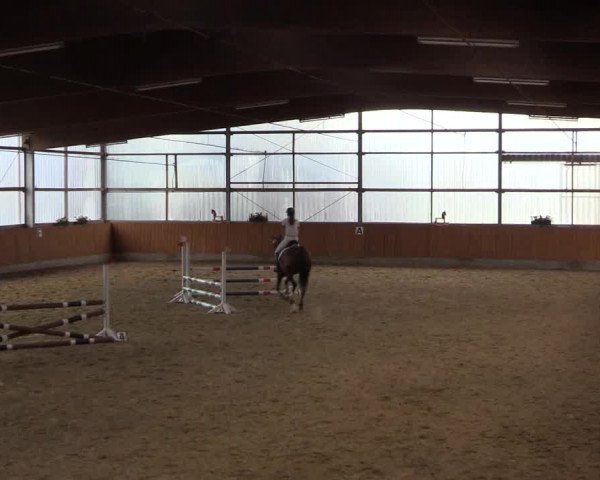 Großes Reit- und Springturnier Herbern 2016