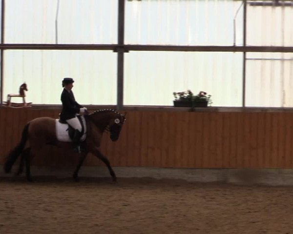 Großes Reit- und Springturnier Herbern 2016