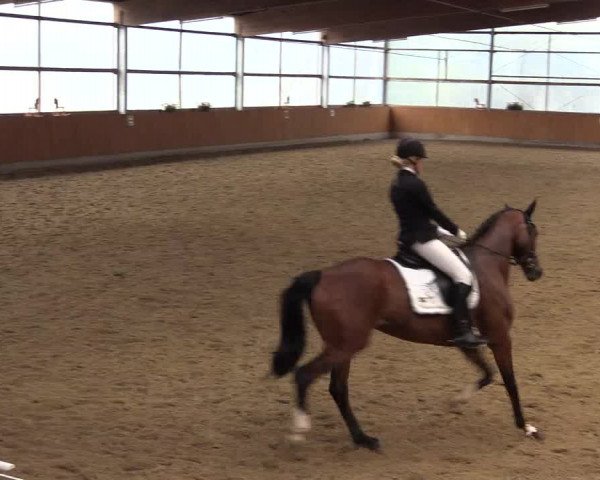 Großes Reit- und Springturnier Herbern 2016