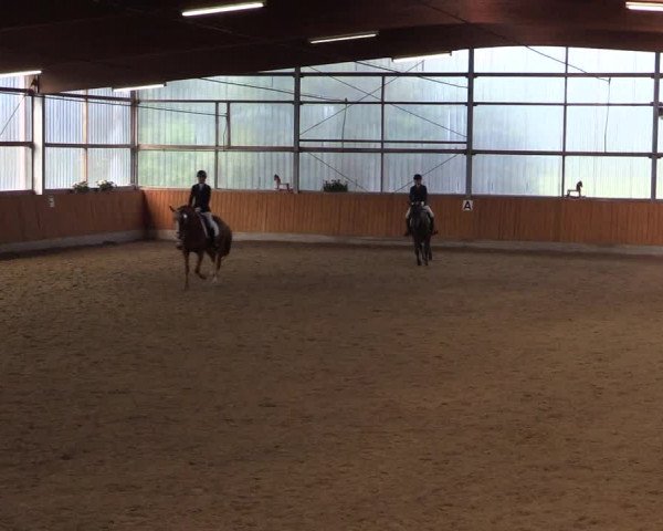 Großes Reit- und Springturnier Herbern 2016