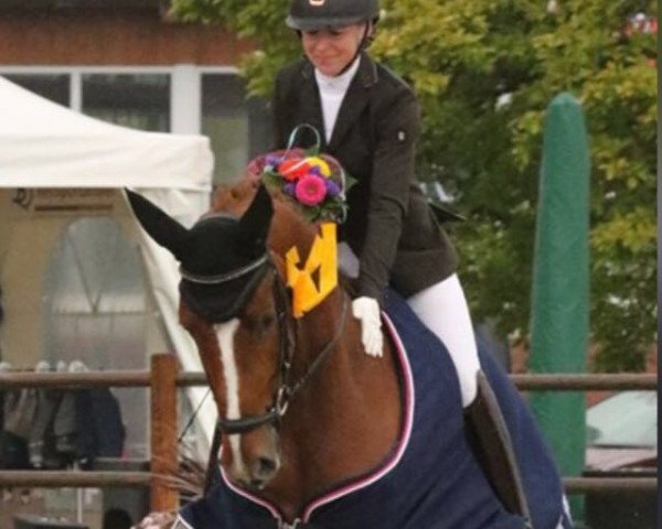 Zuchtstute Sorini (Hannoveraner, 2015, von Sir Donnerhall I)