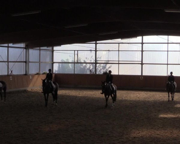 Großes Reit- und Springturnier Herbern 2016