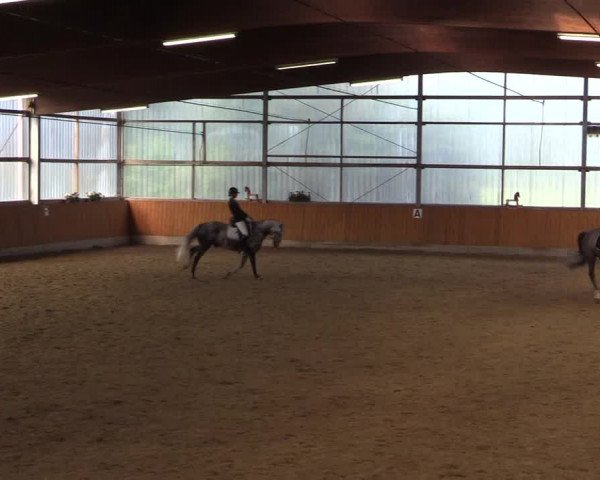 Großes Reit- und Springturnier Herbern 2016