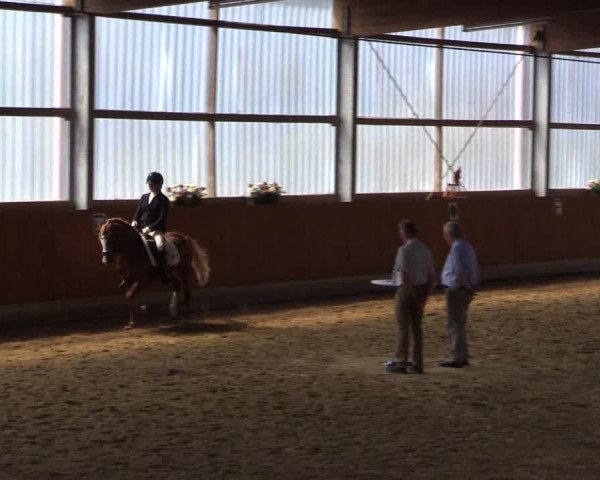 Großes Reit- und Springturnier Herbern 2016