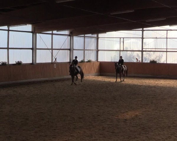 Großes Reit- und Springturnier Herbern 2016