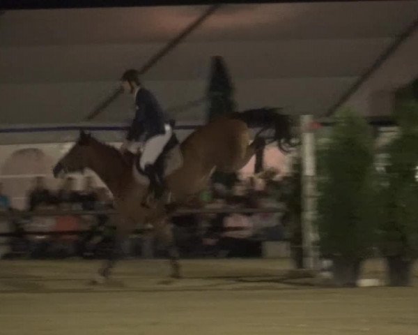 Sommerturnier Neuss-Allerheiligen 2016