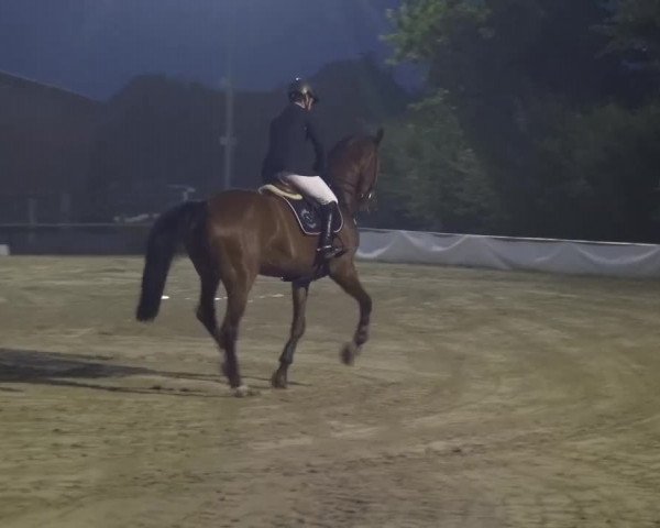 Sommerturnier Neuss-Allerheiligen 2016