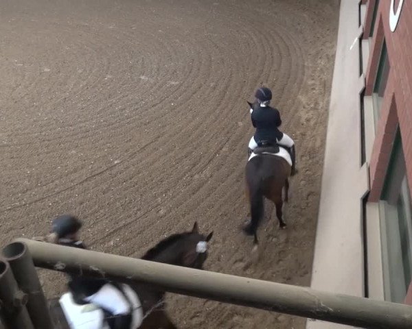 Sommerturnier Neuss-Allerheiligen 2016