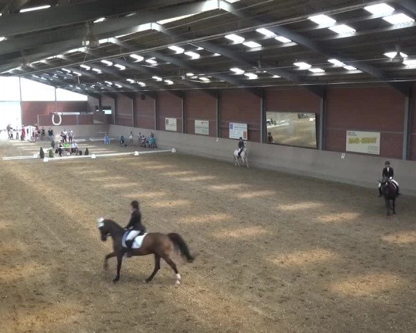 Sommerturnier Neuss-Allerheiligen 2016