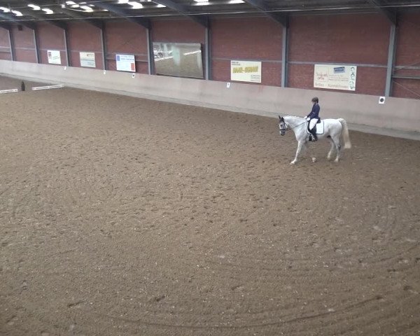 Sommerturnier Neuss-Allerheiligen 2016