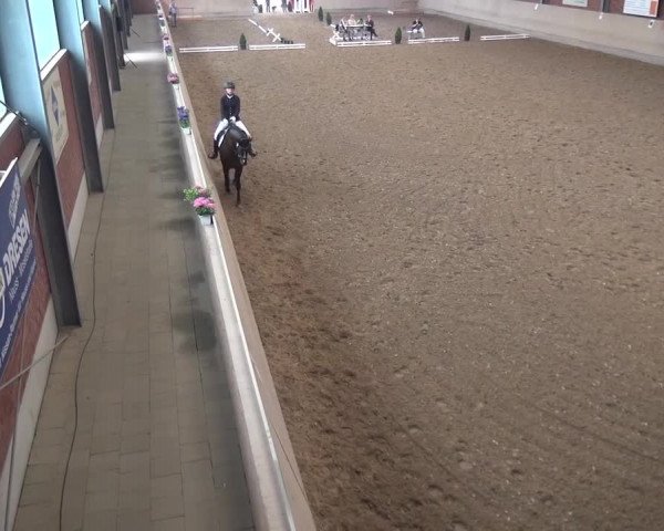 Sommerturnier Neuss-Allerheiligen 2016