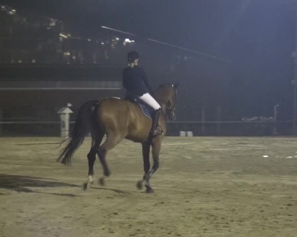 Sommerturnier Neuss-Allerheiligen 2016