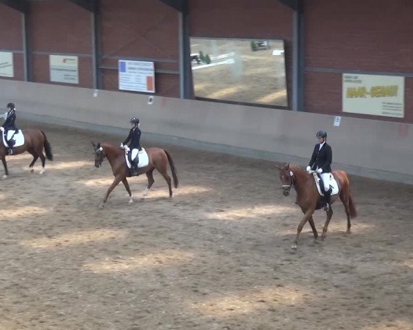 Sommerturnier Neuss-Allerheiligen 2016