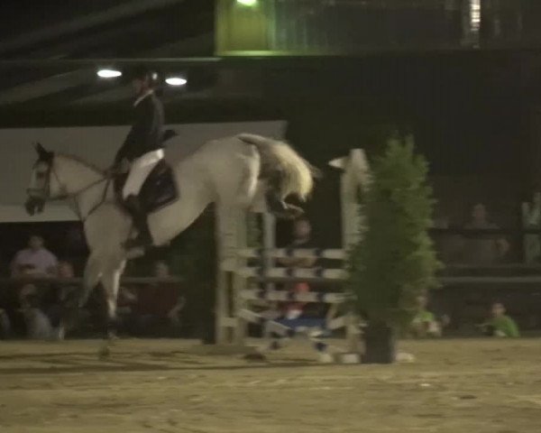 Sommerturnier Neuss-Allerheiligen 2016