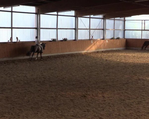 Großes Reit- und Springturnier Herbern 2016