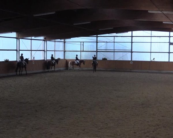 Großes Reit- und Springturnier Herbern 2016