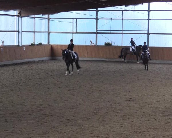 Großes Reit- und Springturnier Herbern 2016