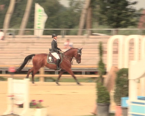 Reitturnier Münster-Handorf 2016