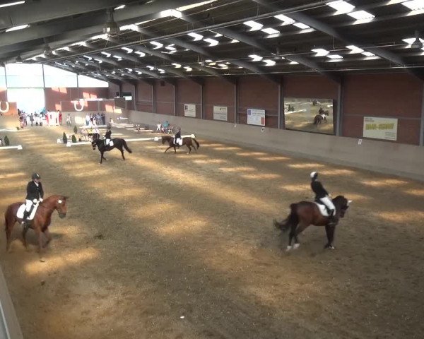Sommerturnier Neuss-Allerheiligen 2016