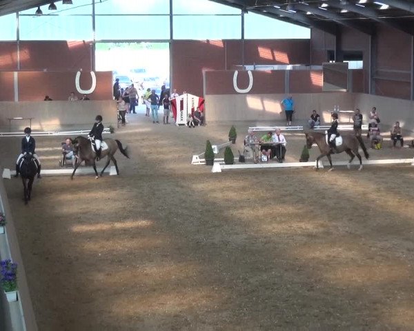 Sommerturnier Neuss-Allerheiligen 2016