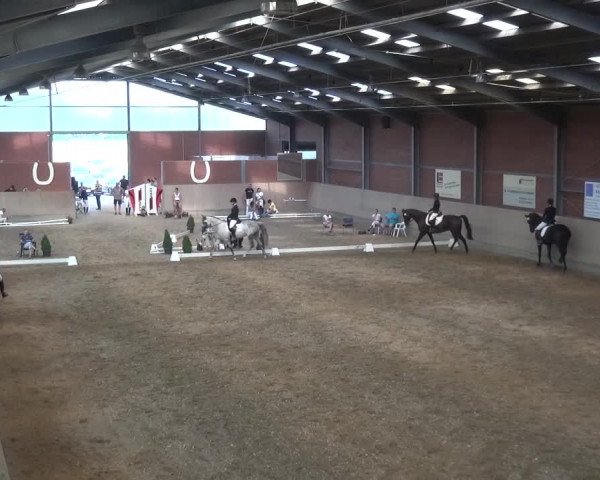 Sommerturnier Neuss-Allerheiligen 2016