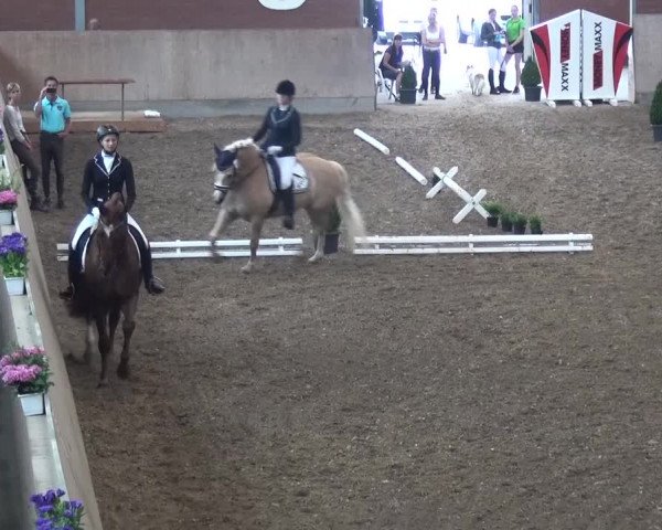 Sommerturnier Neuss-Allerheiligen 2016