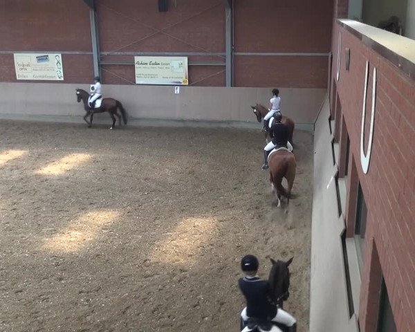 Sommerturnier Neuss-Allerheiligen 2016