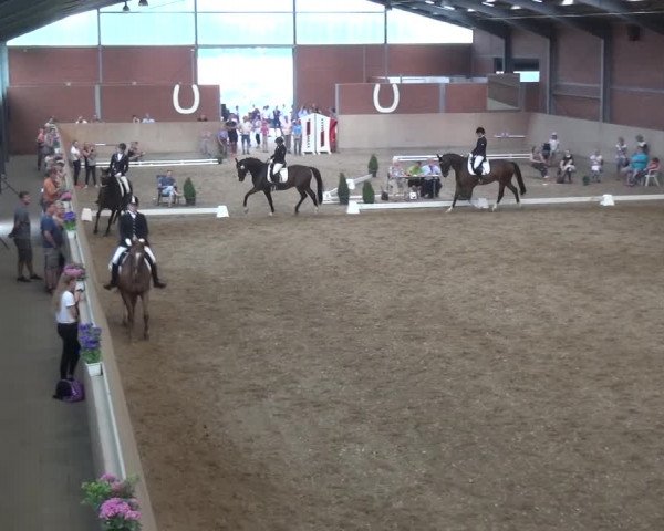 Sommerturnier Neuss-Allerheiligen 2016