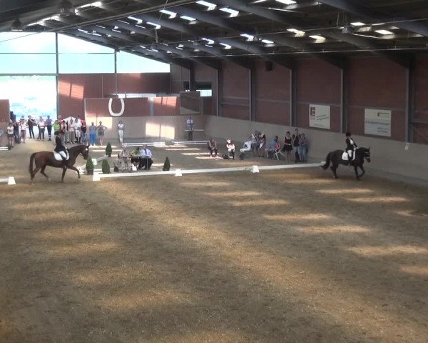 Sommerturnier Neuss-Allerheiligen 2016