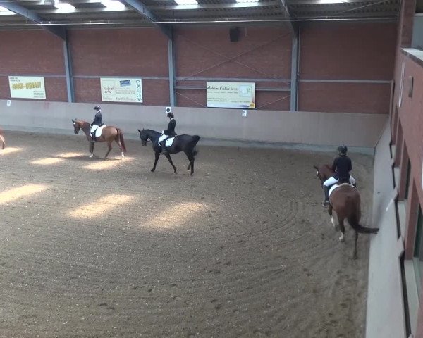 Sommerturnier Neuss-Allerheiligen 2016