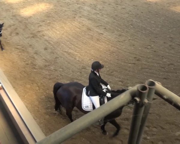 Sommerturnier Neuss-Allerheiligen 2016