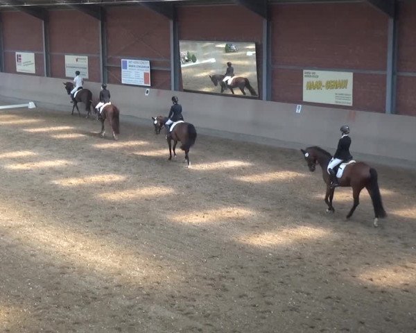 Sommerturnier Neuss-Allerheiligen 2016