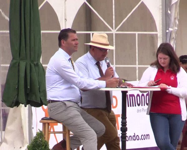 Reitturnier Münster-Handorf 2016