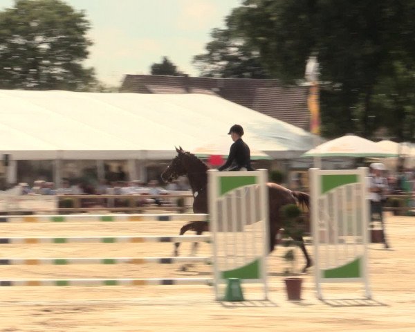 Reitturnier Münster-Handorf 2016